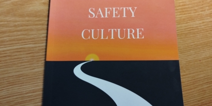 Ten Virtues of a Positive Safety Culture
